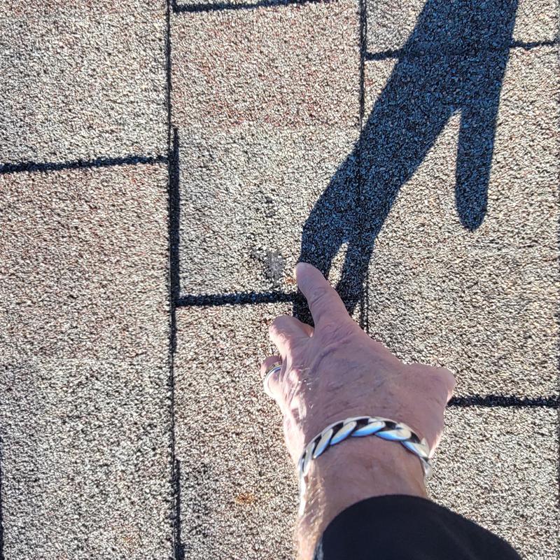 Asphalt roof shingles with hail damage point-out