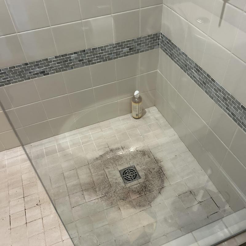 Shower drain with dirt buildup and tiled walls Shower drain with dirt buildup and tiled walls