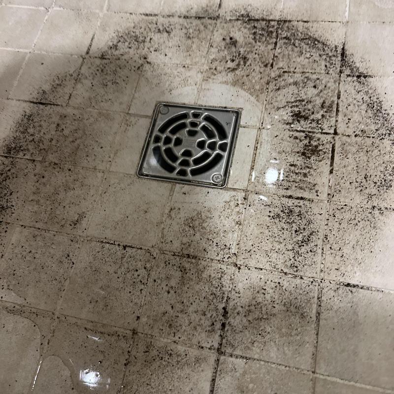 Shower floor drain surrounded by dirt and grime Shower floor drain surrounded by dirt and grime