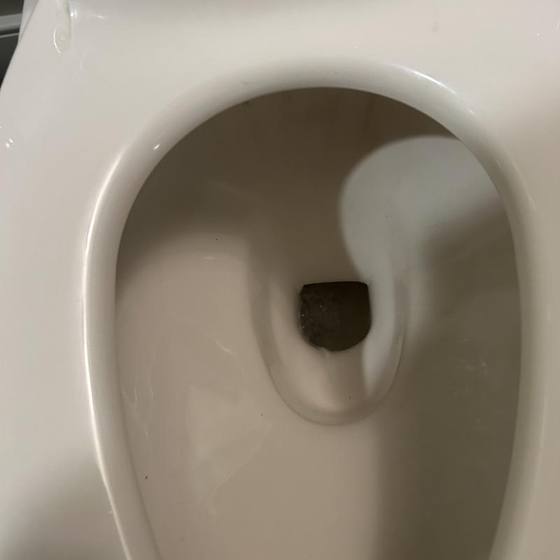 Toilet bowl obstruction inside drain trap Toilet bowl obstruction inside drain trap