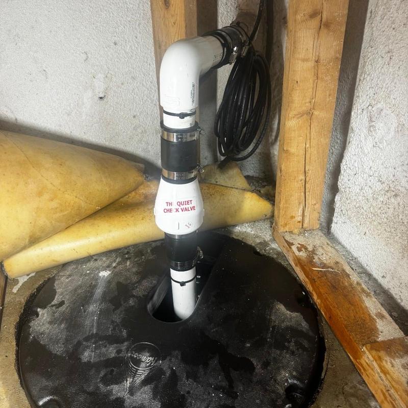 Zoeller sump pump with silent check valve installation
