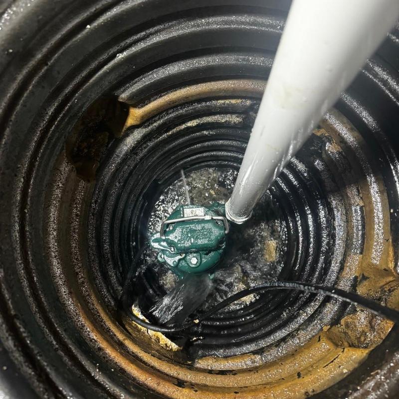 Zoeller sump pump water discharge in pit