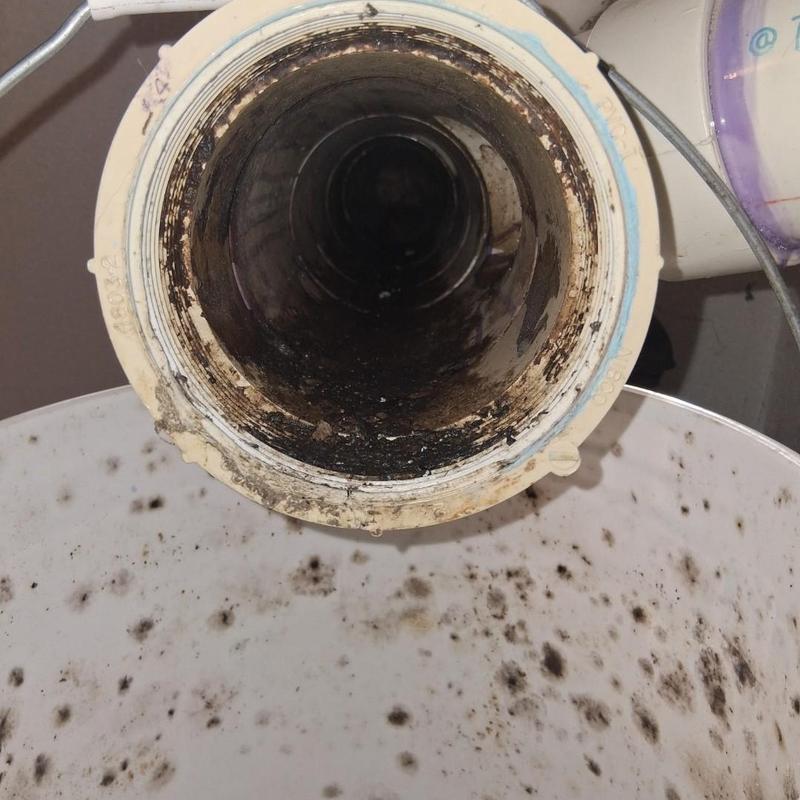 Drain pipe interior showing heavy buildup and debris