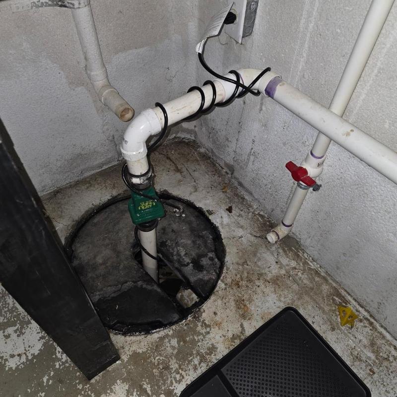 Zoeller 13 HP sump pump and check valve installation