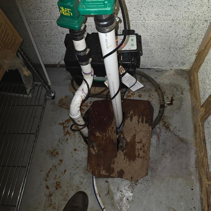 Zoeller sump pump with check valve installation
