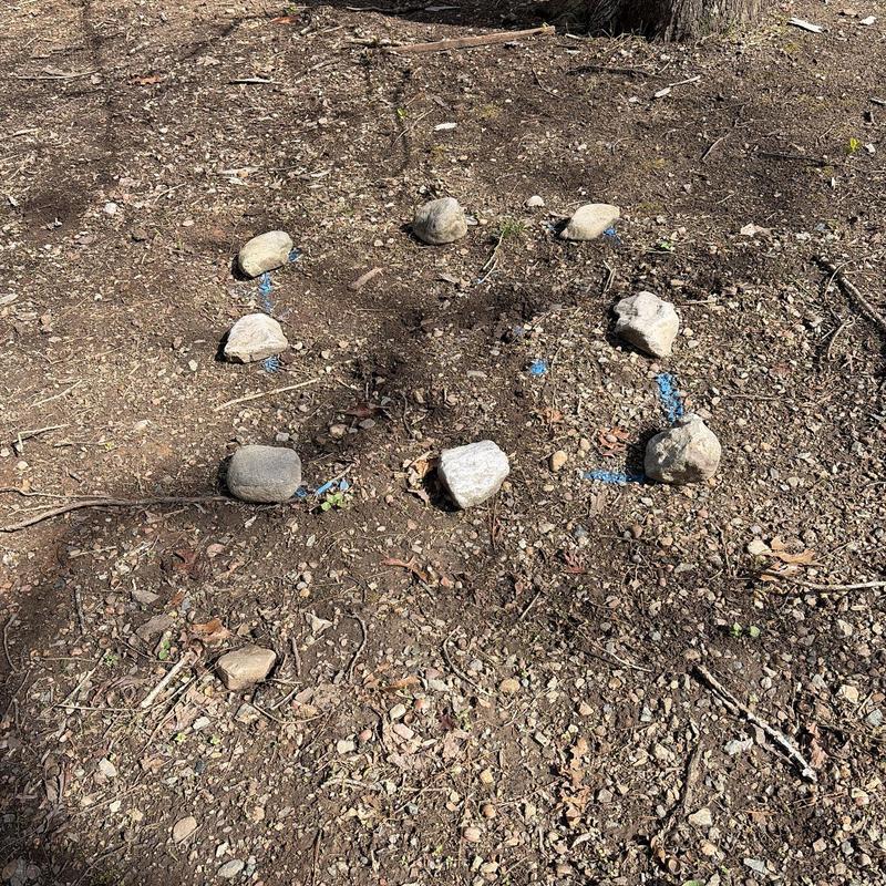 Main water line leak marked with blue paint and rocks