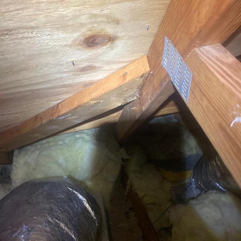 Attic roof deck showing water damage and insulation