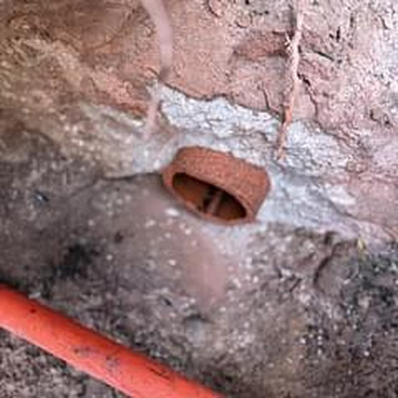 Clay sewer pipe exposed in yard excavation site