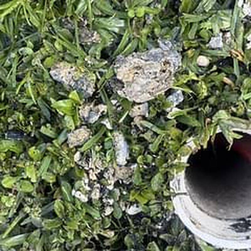 Kitchen line cast iron pipe with grease and debris Kitchen line cast iron pipe with grease and debris