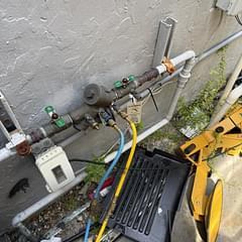 Backflow prevention device with test gauges and hoses