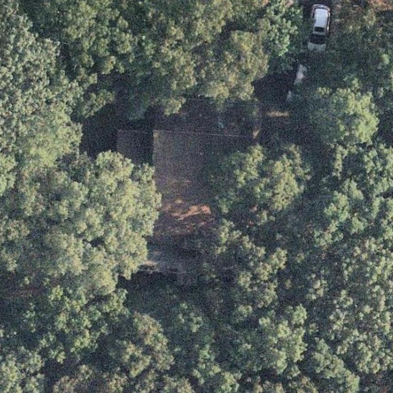 Asphalt shingle roof inspection amid dense tree cover Asphalt shingle roof inspection amid dense tree cover