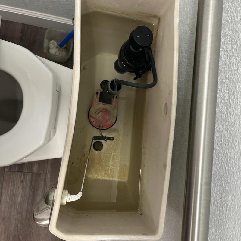 Toilet Fill Valve and Flapper Replacement