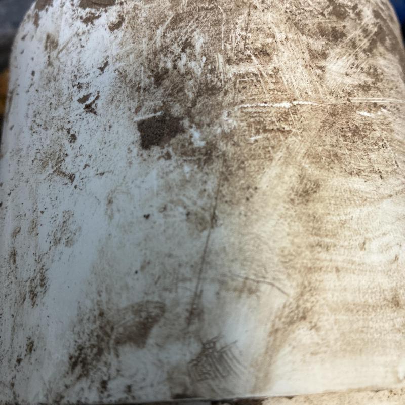 Main sewer line PVC pipe with dirt and grime buildup