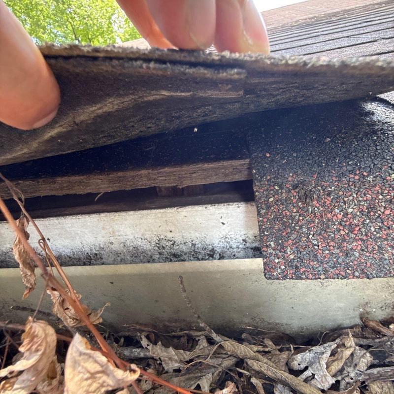 Roof shingles lifted to inspect underlying damage