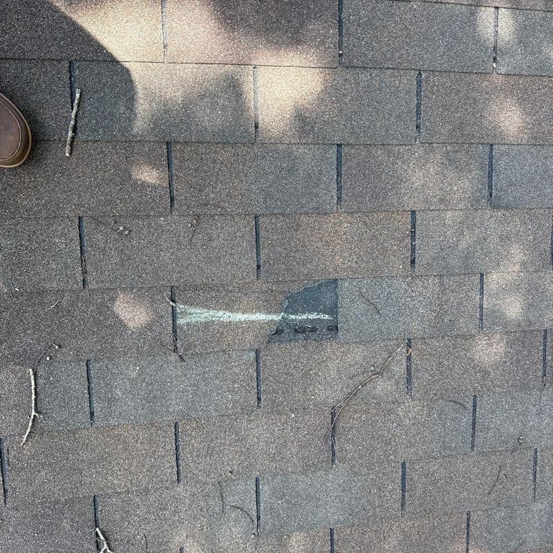 Asphalt roof shingle with visible hail damage and granule loss