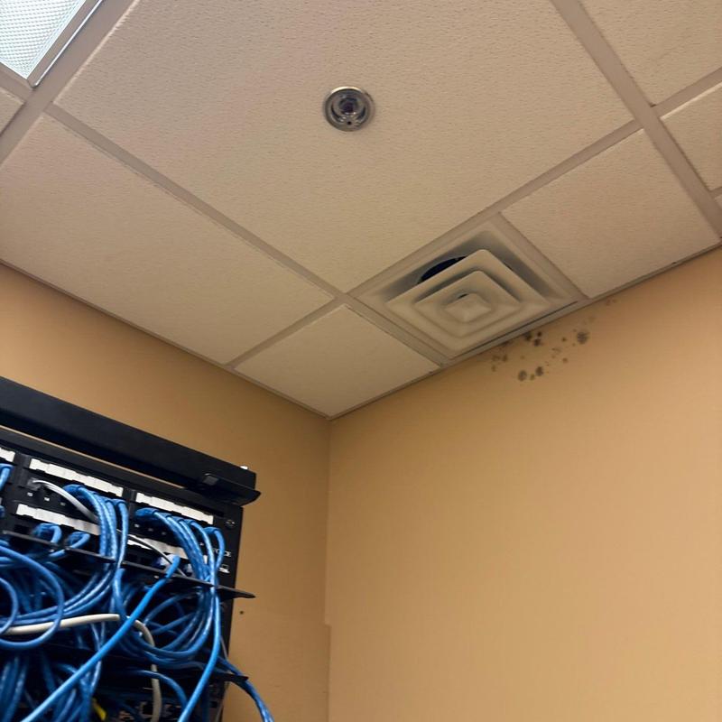 Ceiling vent with mold and network cables
