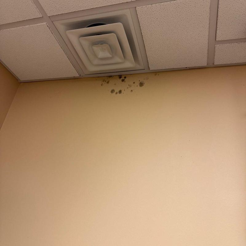 Ceiling air vent with nearby wall mold spots