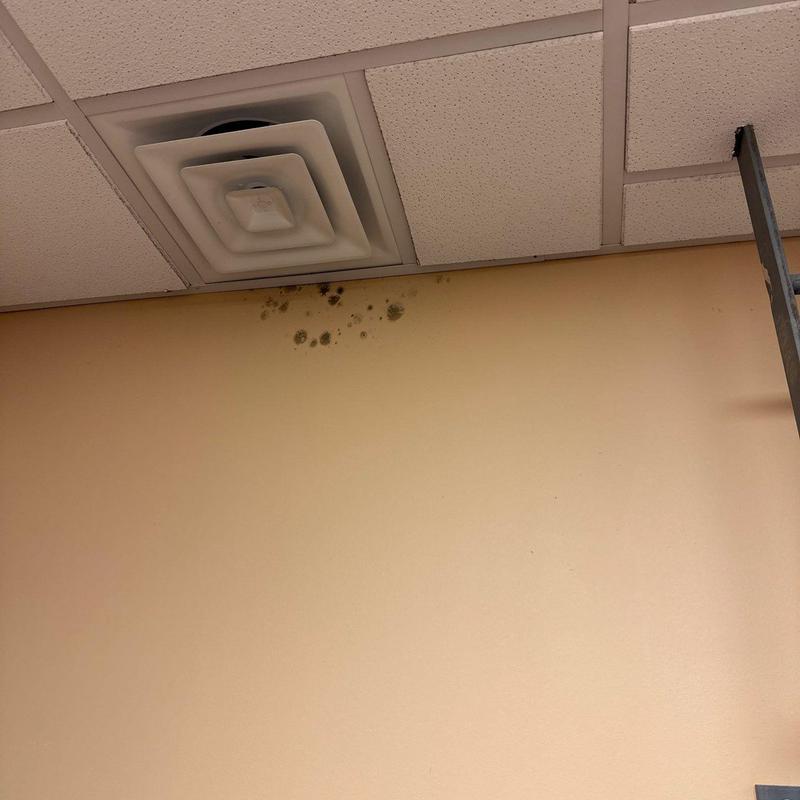 HVAC vent with mold spots on interior wall