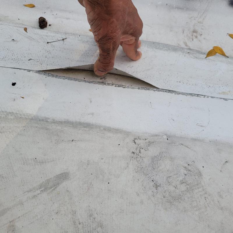 TPO roofing membrane with seam separation defect