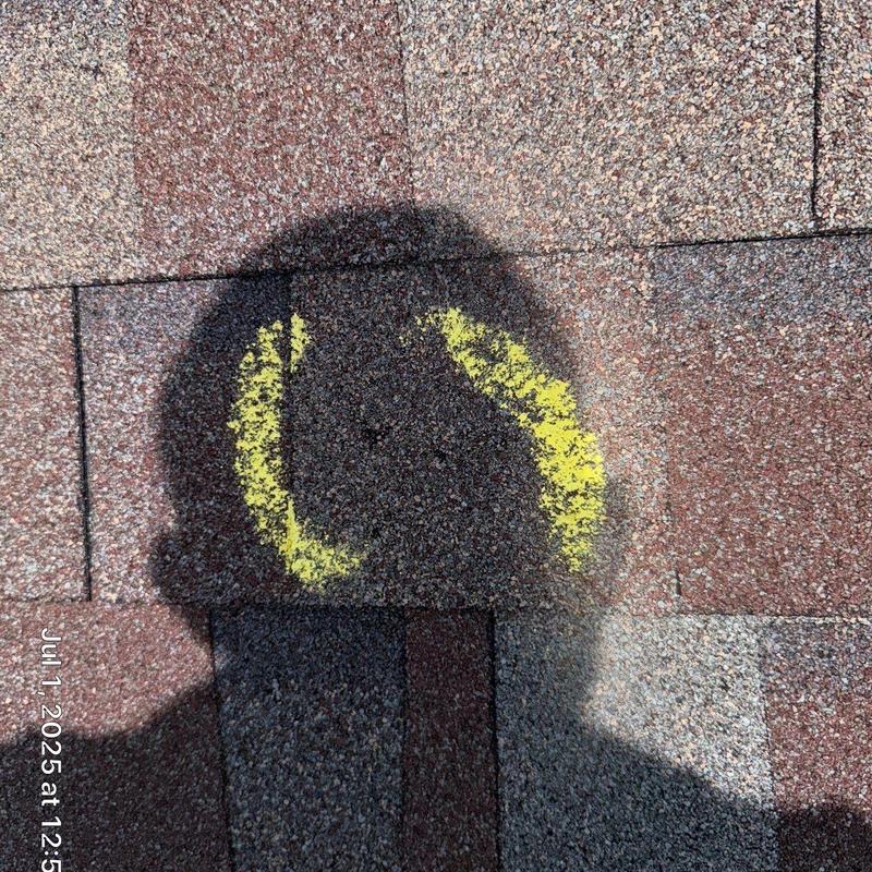 Roof shingles with hail damage marked in yellow