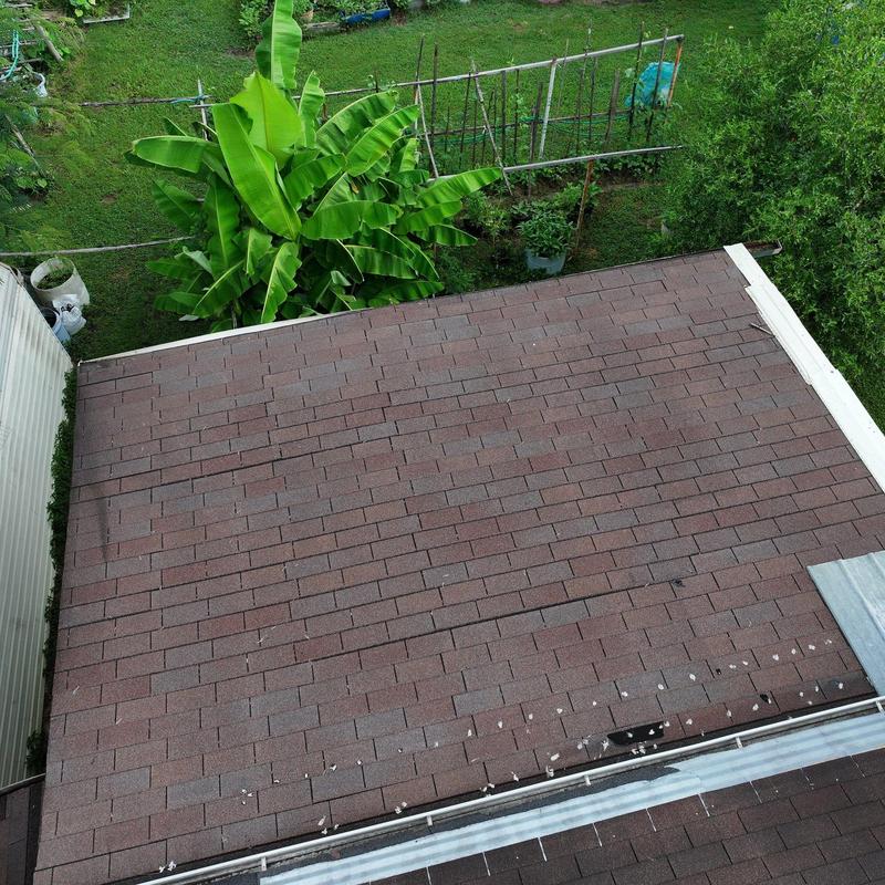 Roof shingles with visible hail damage and wear