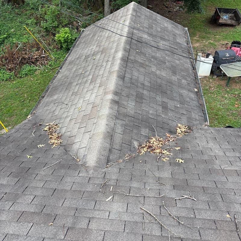 Asphalt shingle roof with hail damage and debris buildup