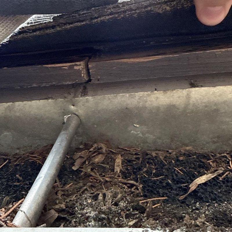 Roof decking wood damage near gutter edge inspection