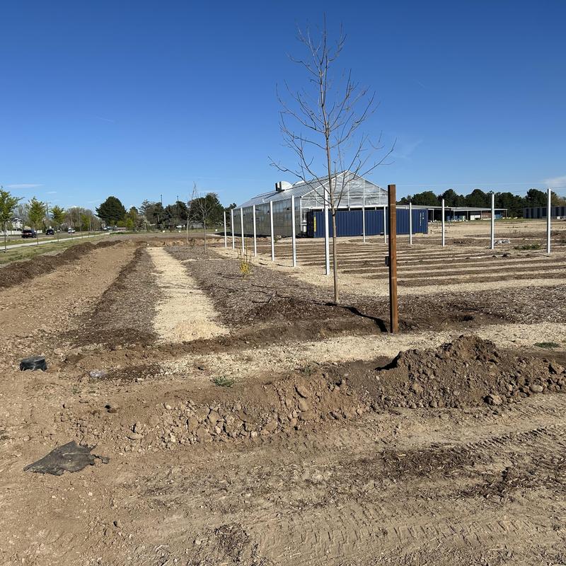 1 inch underground PVC conduit installation near greenhouse 1 inch underground PVC conduit installation near greenhouse