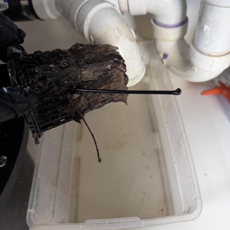 Secondary line clog with debris and zip tie removal Secondary line clog with debris and zip tie removal