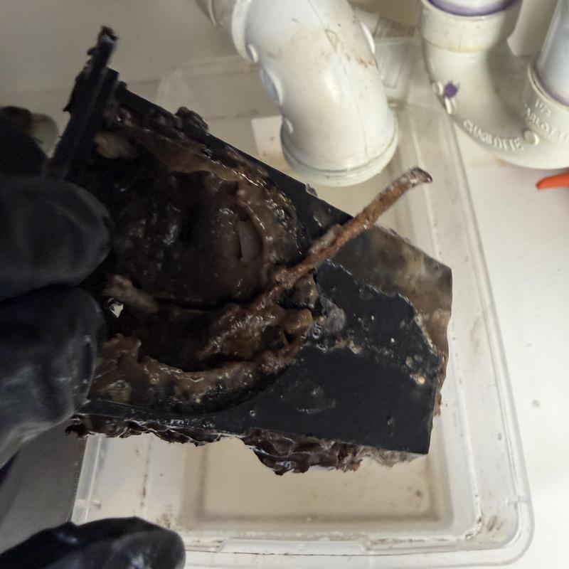 Secondary line corrosion and buildup removal in plumbing system Secondary line corrosion and buildup removal in plumbing system