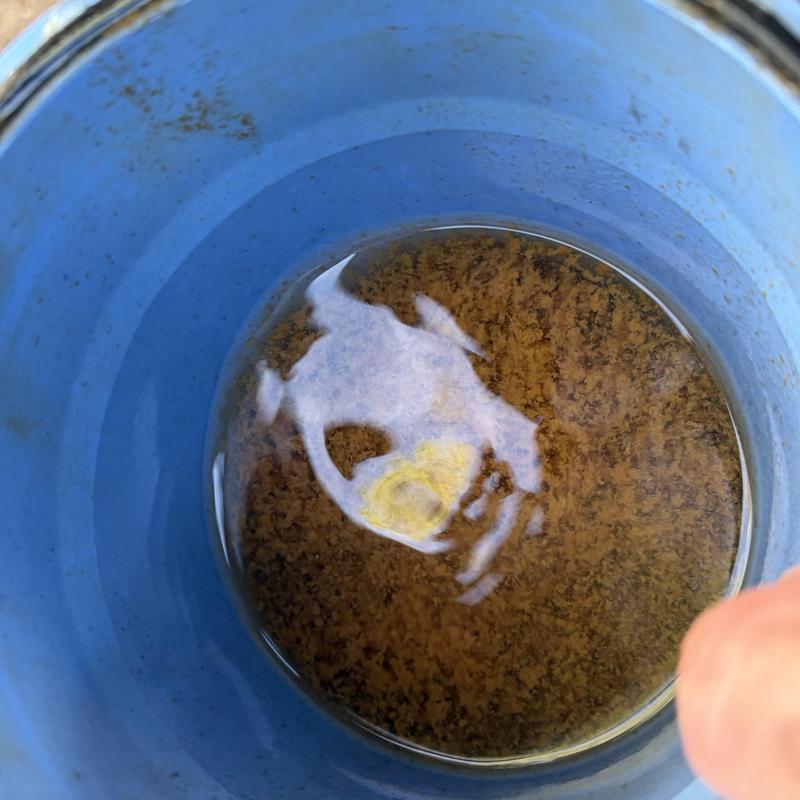 Sediment water filter with dirty replacement bucket