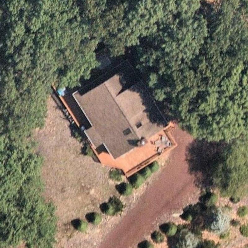 Asphalt shingle roof aerial inspection with surrounding foliage Asphalt shingle roof aerial inspection with surrounding foliage