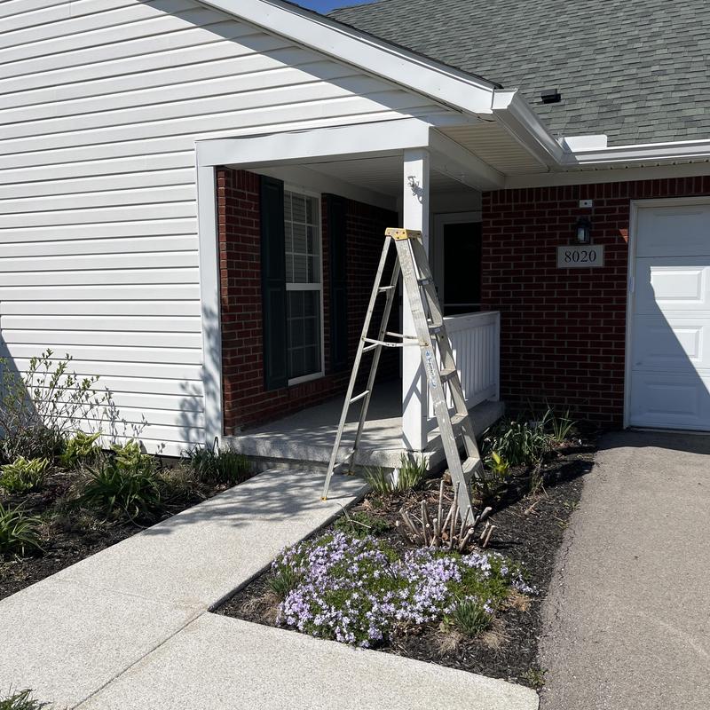 Soffit and porch roof with ladder for repair Soffit and porch roof with ladder for repair
