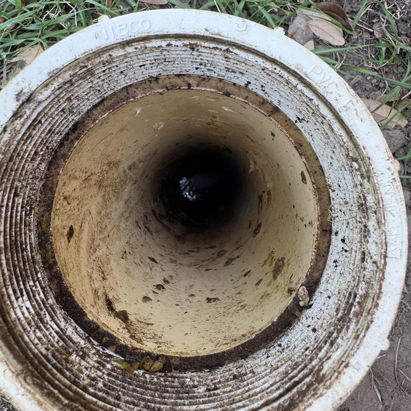 Septic tank inlet pipe clearing with full flow check