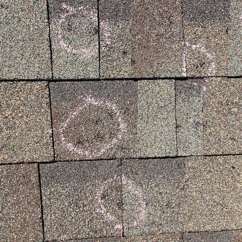 Roof shingles with circled hail damage marks