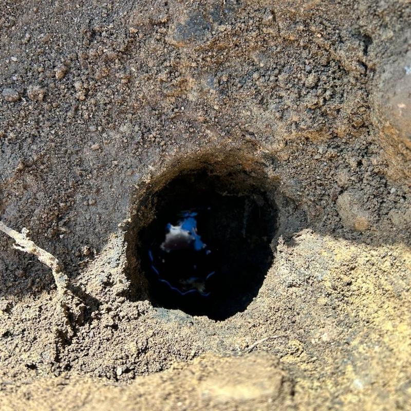 Main line drain pipe opening in ground soil Main line drain pipe opening in ground soil