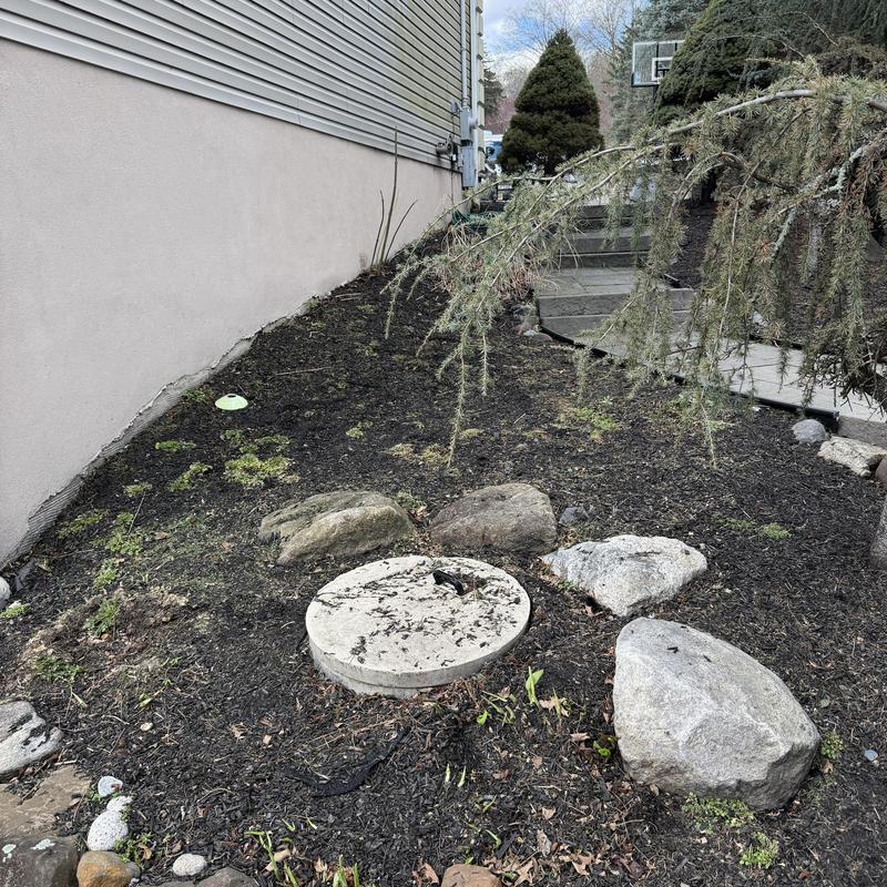 Sump pump access cover in garden bed near house wall Sump pump access cover in garden bed near house wall