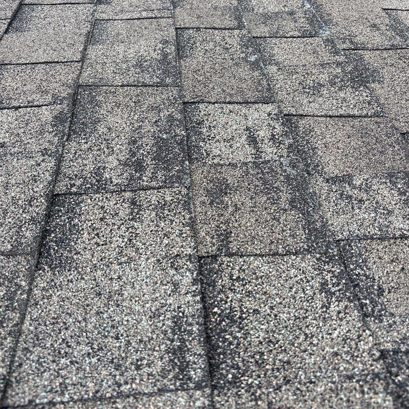 Asphalt roof shingles with hail damage and granule loss