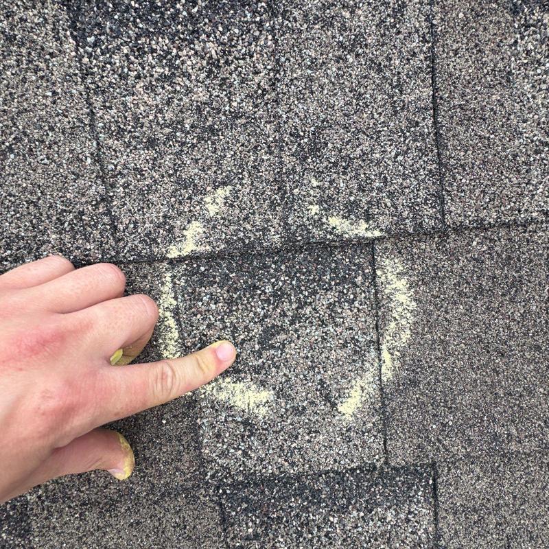 Roof shingle hail damage with granule loss marked