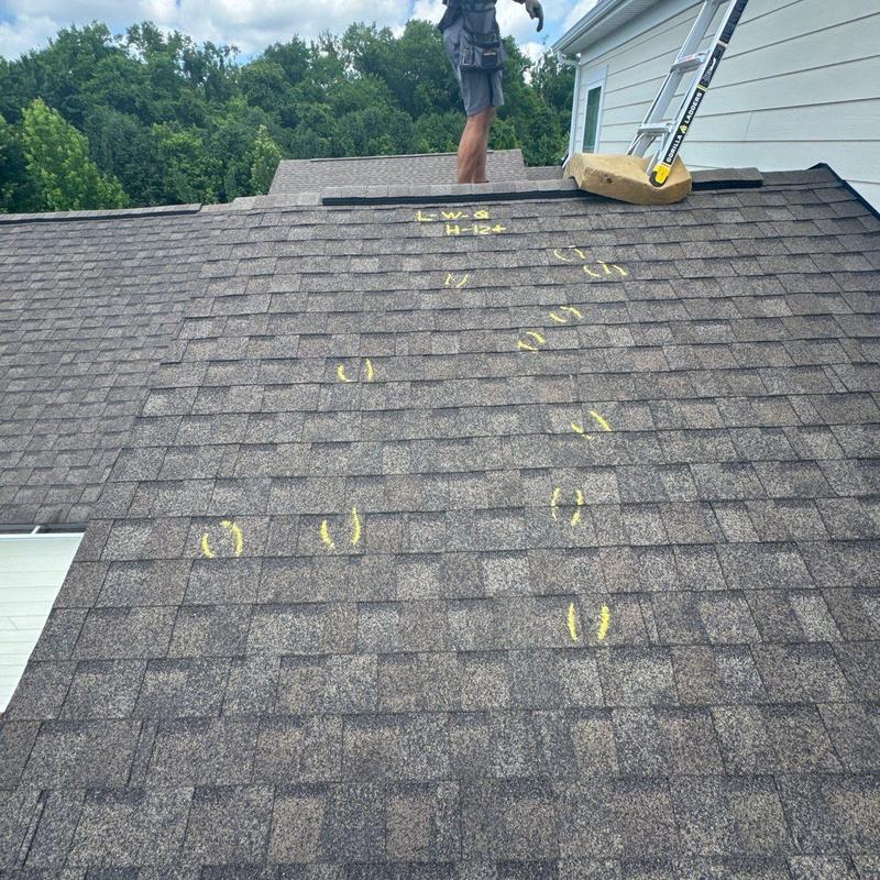 Asphalt shingle roof with hail damage markings