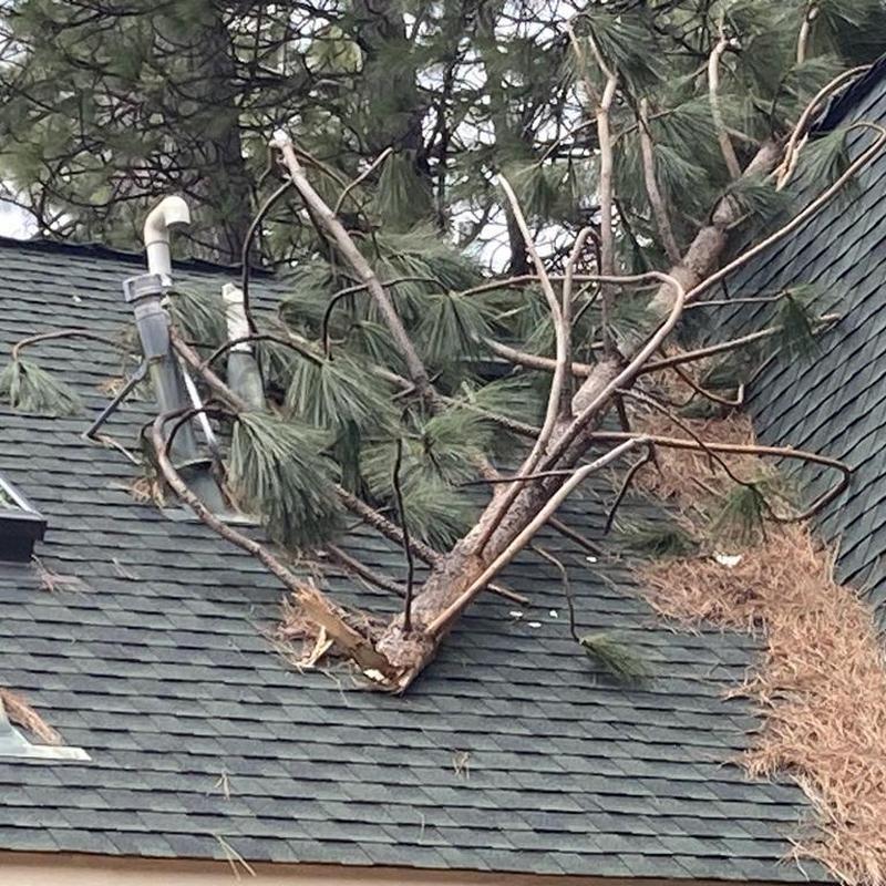 Roof vent with fallen tree and storm damage debris