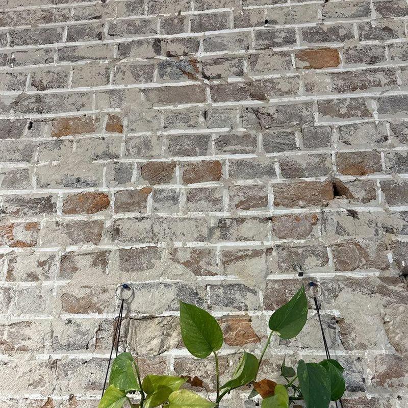Brick wall with mounting hooks and climbing plant