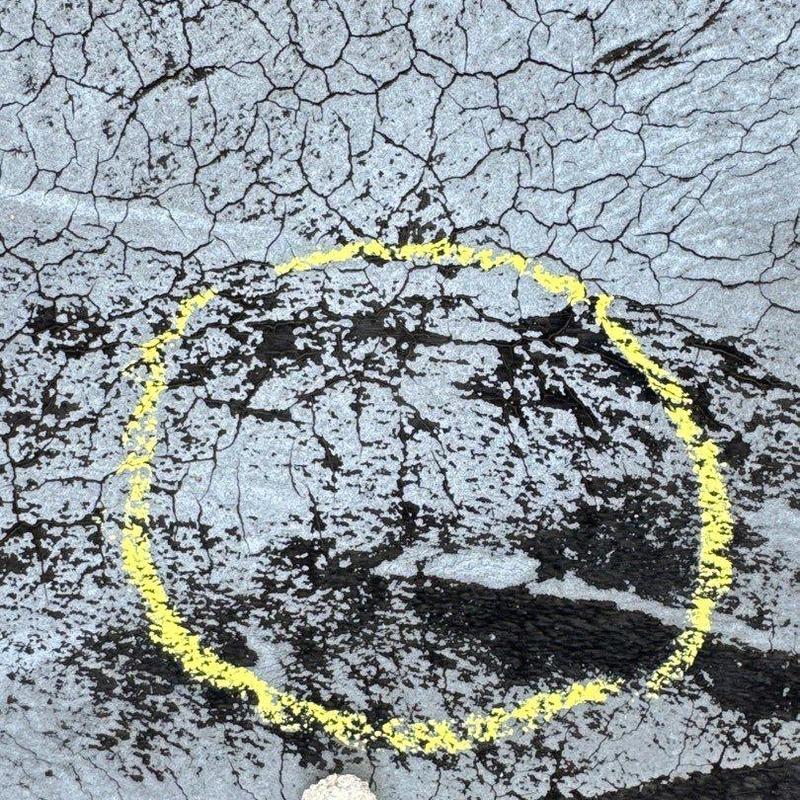 Roof shingles with hail damage circled in yellow