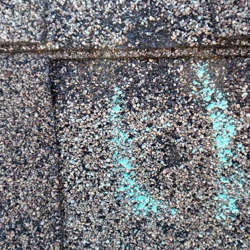 Asphalt roof shingle with hail damage marked in blue