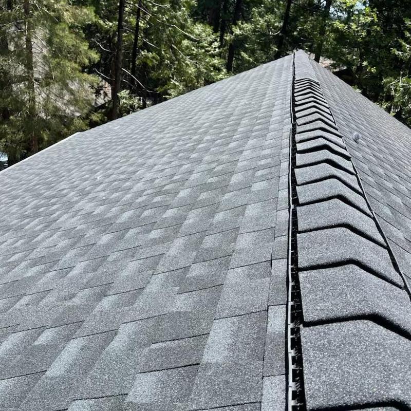 Asphalt shingle roof with ridge vent installation in forest