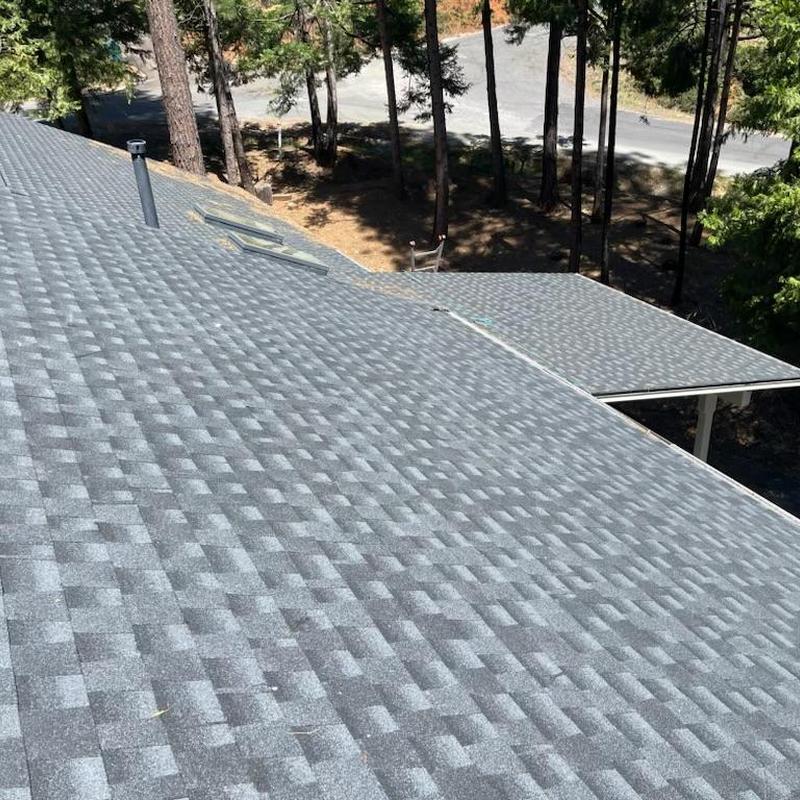 Asphalt shingle roof with skylights in wooded area