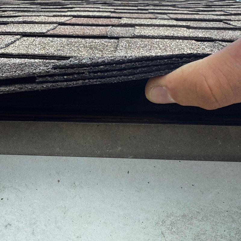 Asphalt shingles lifted for hail damage roof inspection