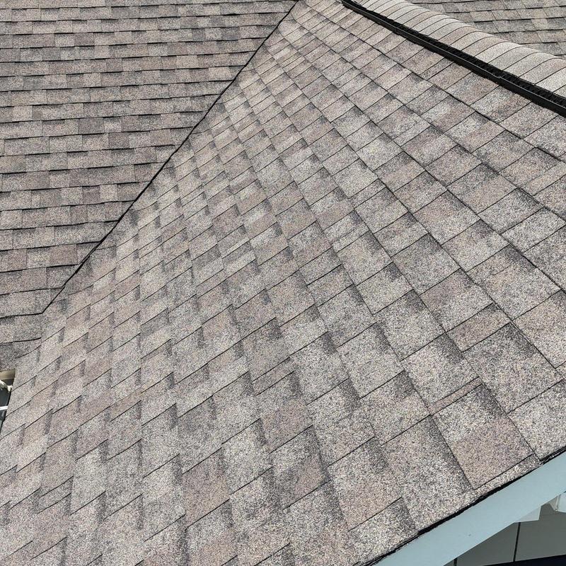 Asphalt shingle roof with hail damage and granule loss