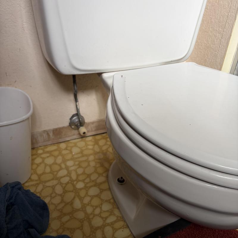 Comfort height elongated toilet with shutoff valve