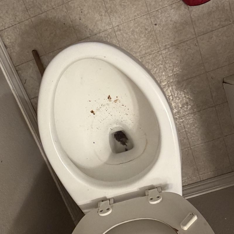 Toilet bowl with debris and dirty water inside